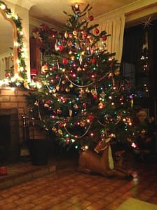 Our Christmas tree in Essex.