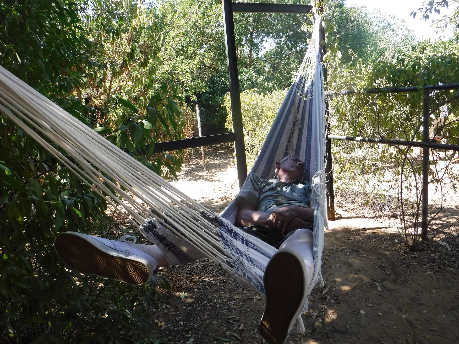 Grandpa chillin in Acerico.