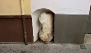 Hombre de Piedra/Stone man.