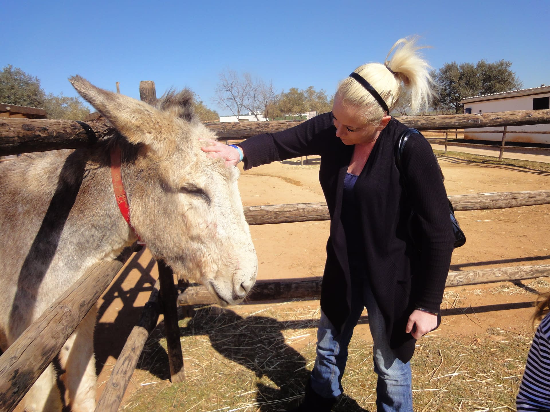 At the Donkey Sanctuary. At the Donkey Sanctuary.
